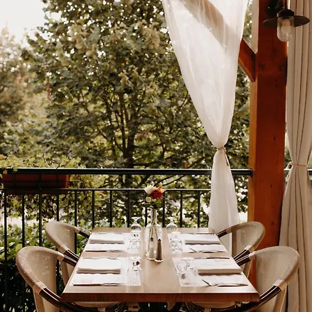 Logis - Restaurant Du Parc 3* Cransac