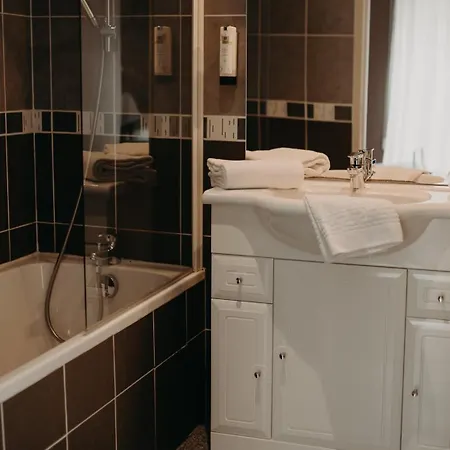 Logis - Restaurant Du Parc 3* Cransac