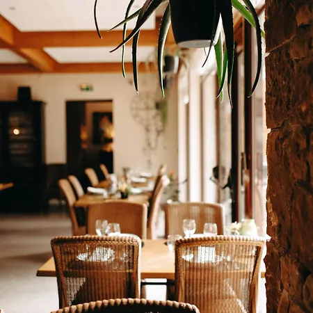 Logis - Restaurant Du Parc Hotel Cransac
