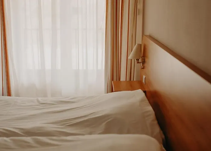 Logis - Restaurant Du Parc Hotel 3*