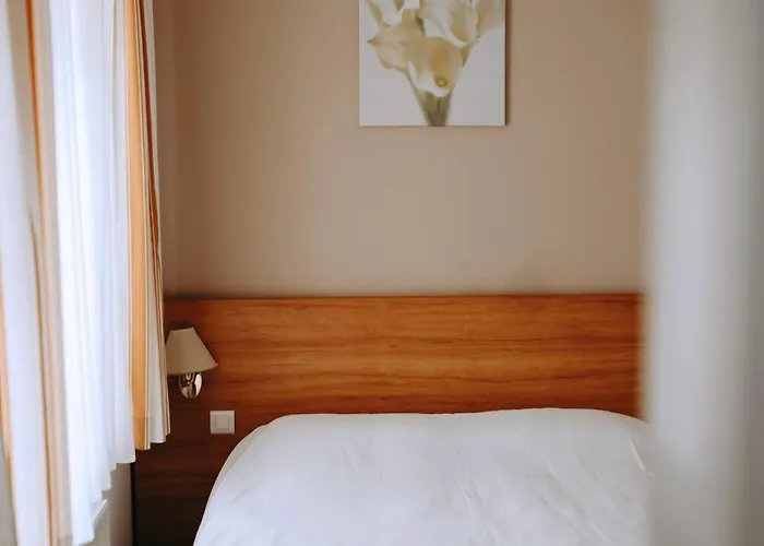 Logis - Restaurant Du Parc Hotell Cransac