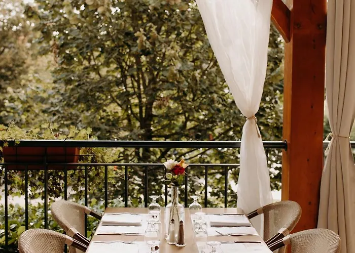 Logis - Restaurant Du Parc 3* Cransac