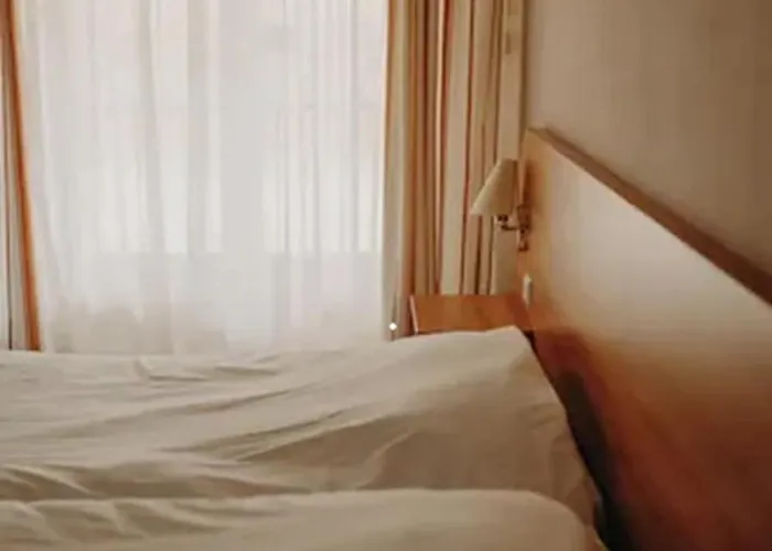 Logis - Restaurant Du Parc 3* Cransac